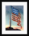 American flag flying over Fort McHenry by Anonymous