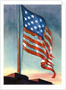 American flag flying over Fort McHenry by Anonymous