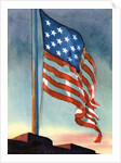 American flag flying over Fort McHenry by Anonymous