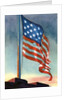 American flag flying over Fort McHenry by Anonymous