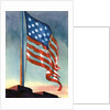American flag flying over Fort McHenry by Anonymous