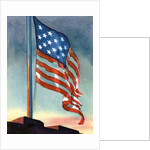 American flag flying over Fort McHenry by Anonymous