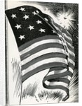 American flag flying over Fort McHenry by Anonymous