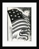 American flag flying over Fort McHenry by Anonymous