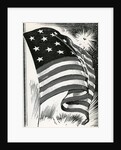 American flag flying over Fort McHenry by Anonymous