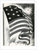 American flag flying over Fort McHenry by Anonymous