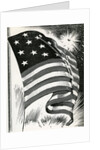 American flag flying over Fort McHenry by Anonymous