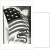 American flag flying over Fort McHenry by Anonymous