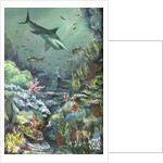 Shark swimming in a coral reef by Anonymous