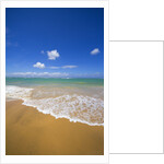 Gentle waves breaking on the north shore of Maui by Anonymous