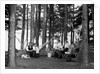 The family has picnic among the pines, ca. 1900. by Anonymous