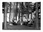 The family has picnic among the pines, ca. 1900. by Anonymous