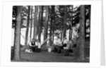 The family has picnic among the pines, ca. 1900. by Anonymous