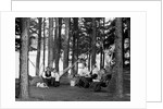 The family has picnic among the pines, ca. 1900. by Anonymous