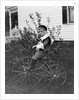 Toddler on a period tricycle, ca. 1895. by Anonymous