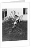 Toddler on a period tricycle, ca. 1895. by Anonymous