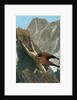 Prometheus bound to the rock by Anonymous