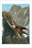 Prometheus bound to the rock by Anonymous