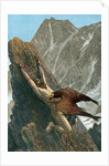 Prometheus bound to the rock by Anonymous