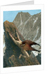 Prometheus bound to the rock by Anonymous