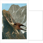 Prometheus bound to the rock by Anonymous