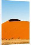Dune 45, Sossusvlei, Namibia. by Anonymous