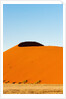 Dune 45, Sossusvlei, Namibia. by Anonymous