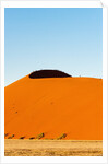 Dune 45, Sossusvlei, Namibia. by Anonymous