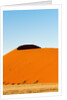 Dune 45, Sossusvlei, Namibia. by Anonymous