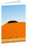 Dune 45, Sossusvlei, Namibia. by Anonymous