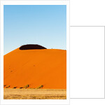 Dune 45, Sossusvlei, Namibia. by Anonymous