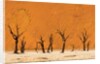 Deadvlei, Namibia by Anonymous