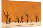 Deadvlei, Namibia by Anonymous