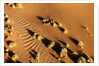 Aerial view, Namib Desert, Namibia. by Anonymous