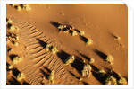 Aerial view, Namib Desert, Namibia. by Anonymous