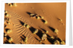 Aerial view, Namib Desert, Namibia. by Anonymous