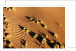Aerial view, Namib Desert, Namibia. by Anonymous