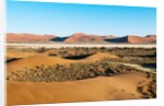 Aerial view, Namib Desert, Namibia. by Anonymous