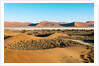 Aerial view, Namib Desert, Namibia. by Anonymous