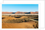 Aerial view, Namib Desert, Namibia. by Anonymous