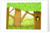 The image of squirrel in the trunk of tree by Anonymous