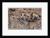 Burchell's zebra (Equus burchellii) by Anonymous