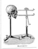 Goniometer measuring human skull by Anonymous