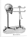 Goniometer measuring human skull by Anonymous