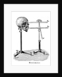 Goniometer measuring human skull by Anonymous