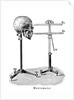 Goniometer measuring human skull by Anonymous