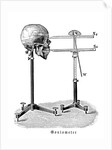 Goniometer measuring human skull by Anonymous