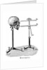 Goniometer measuring human skull by Anonymous