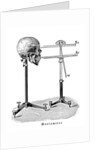 Goniometer measuring human skull by Anonymous