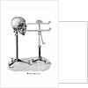 Goniometer measuring human skull by Anonymous